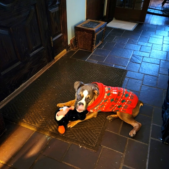 Meet your Posher, Timijanel - Picture 2 of 7